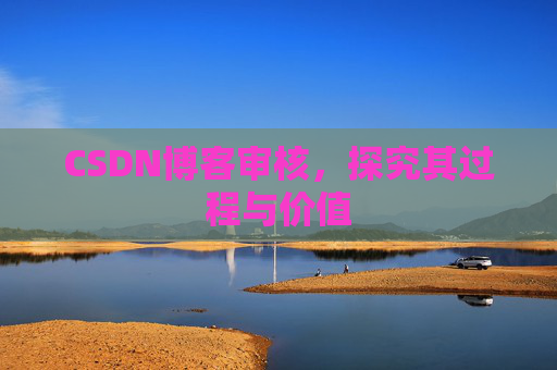CSDN博客审核，探究其过程与价值