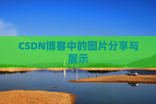 CSDN博客中的图片分享与展示